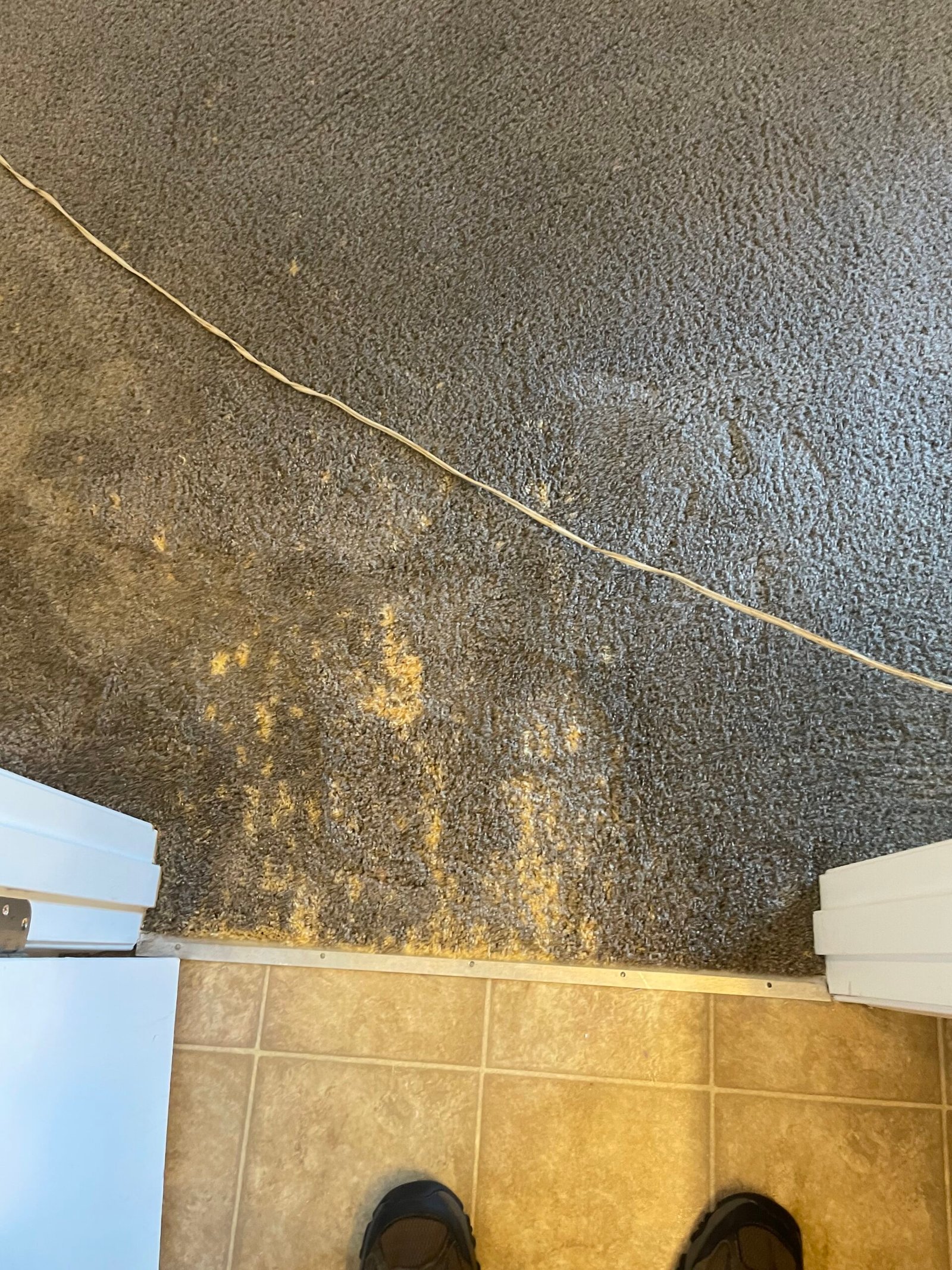 color repair before color repair before